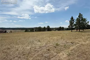378 High Pasture Rd, Florissant, CO 80816 - Photo 40