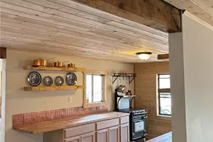 3800 Doe Valley Rd, Guffey, CO 80820 - Photo 14