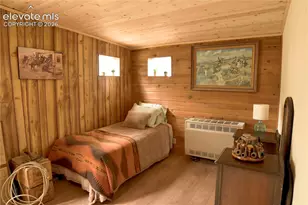 3800 Doe Valley Rd, Guffey, CO 80820 - Photo 10