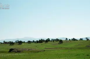 3800 Doe Valley Rd, Guffey, CO 80820 - Photo 28