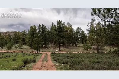 3800 Doe Valley Road, Guffey, CO 80820 - Photo 26