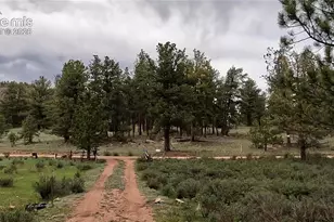 3800 Doe Valley Rd, Guffey, CO 80820 - Photo 26