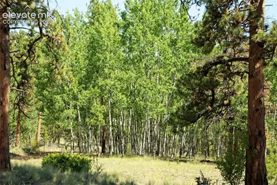 3800 Doe Valley Road, Guffey, CO 80820 - Photo 32