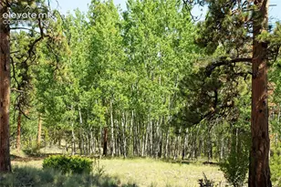 3800 Doe Valley Rd, Guffey, CO 80820 - Photo 32