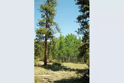 3800 Doe Valley Road, Guffey, CO 80820 - Photo 34
