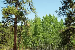 3800 Doe Valley Rd, Guffey, CO 80820 - Photo 34
