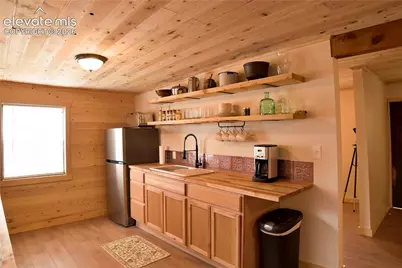 3800 Doe Valley Road, Guffey, CO 80820 - Photo 8
