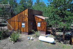 3800 Doe Valley Rd, Guffey, CO 80820 - Photo 4