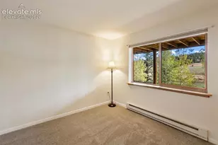 1369 Spring Valley Dr, Divide, CO 80814 - Photo 22
