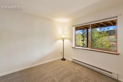 1369 Spring Valley Drive, Divide, CO 80814 - Photo 22