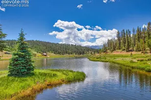 1369 Spring Valley Dr, Divide, CO 80814 - Photo 34