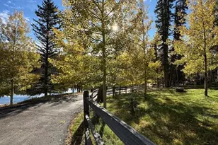 1369 Spring Valley Dr, Divide, CO 80814 - Photo 36