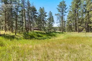 7005 Shoup Rd, Colorado Springs, CO 80908 - Photo 12