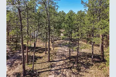 7005 Shoup Road, Colorado Springs, CO 80908 - Photo 6