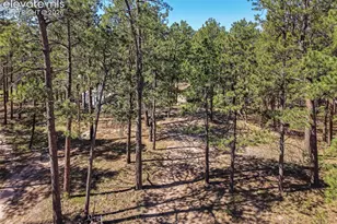 7005 Shoup Rd, Colorado Springs, CO 80908 - Photo 6