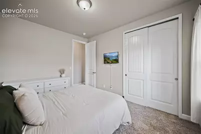 9165 Buffalo Bur Trail, Colorado Springs, CO 80925 - Photo 30