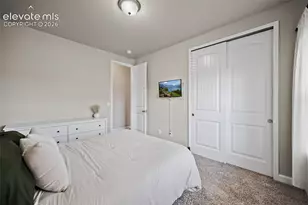 9165 Buffalo Bur Trail, Colorado Springs, CO 80925 - Photo 30