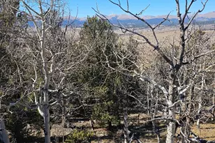 5585 Middle Fork Vista, Fairplay, CO 80440 - Photo 1