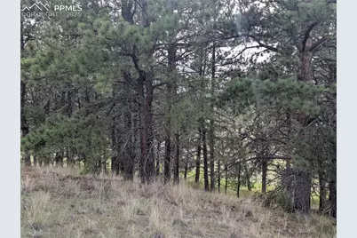1379 S Mountain Estates Road, Florissant, CO 80816 - Photo 28