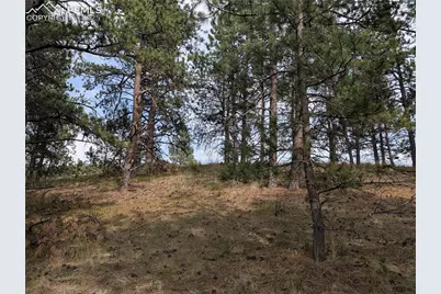 1379 S Mountain Estates Road, Florissant, CO 80816 - Photo 14