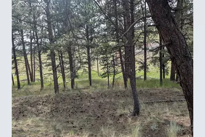 1379 S Mountain Estates Road, Florissant, CO 80816 - Photo 8