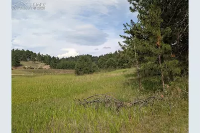 1379 S Mountain Estates Road, Florissant, CO 80816 - Photo 18
