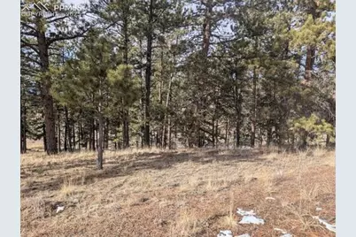 1379 S Mountain Estates Road, Florissant, CO 80816 - Photo 34