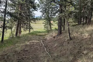 1379 S Mountain Estates Rd, Florissant, CO 80816 - Photo 1