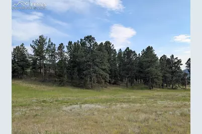 1379 S Mountain Estates Road, Florissant, CO 80816 - Photo 26
