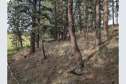 1379 S Mountain Estates Road, Florissant, CO 80816 - Photo 12