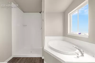 3245 Pennys Peak View, Peyton, CO 80831 - Photo 22