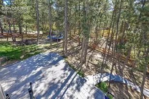 933 Tree Bark Terrace, Monument, CO 80132 - Photo 40