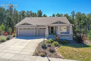 933 Tree Bark Terrace, Monument, CO 80132 - Photo 1