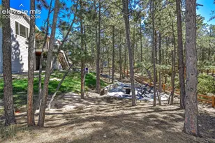 933 Tree Bark Terrace, Monument, CO 80132 - Photo 44