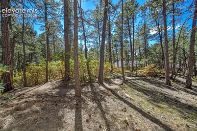 933 Tree Bark Terrace, Monument, CO 80132 - Photo 46
