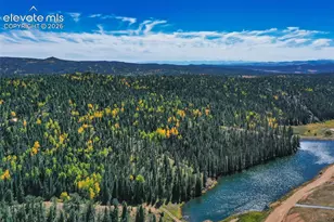 124 Cradle Lake Dr, Divide, CO 80814 - Photo 46