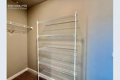 5217 Palomino Ranch Point, Colorado Springs, CO 80922 - Photo 4