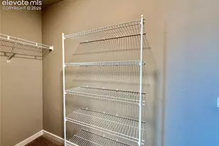 5217 Palomino Ranch Point, Colorado Springs, CO 80922 - Photo 4