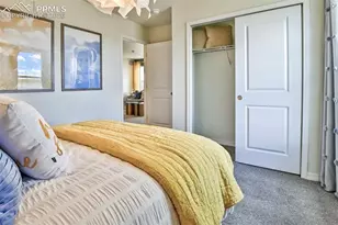 8546 Blue Feather Loop, Colorado Springs, CO 80908 - Photo 20