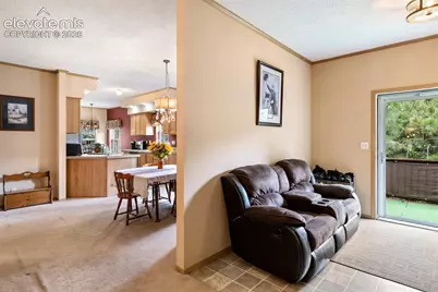 129 Kestrel Court, Divide, CO 80814 - Photo 12