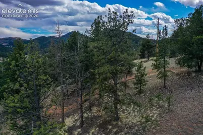 102 Blue Bell Circle, Cripple Creek, CO 80813 - Photo 26
