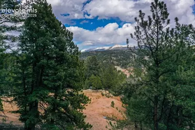 102 Blue Bell Circle, Cripple Creek, CO 80813 - Photo 34