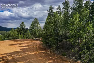 102 Blue Bell Circle, Cripple Creek, CO 80813 - Photo 10
