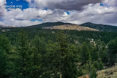 102 Blue Bell Circle, Cripple Creek, CO 80813 - Photo 6