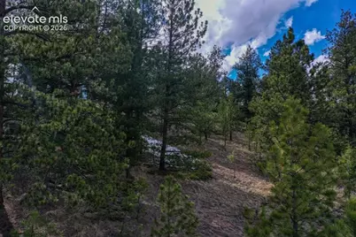 102 Blue Bell Circle, Cripple Creek, CO 80813 - Photo 18