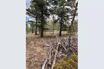 506 Castle Mountain Drive, Guffey, CO 80820 - Photo 6