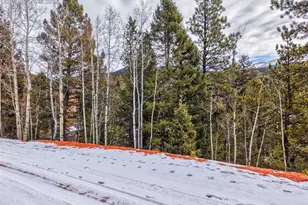 1181 Calcite Dr, Divide, CO 80814 - Photo 1
