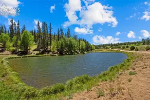 506 Ridge Rd, Divide, CO 80814 - Photo 42
