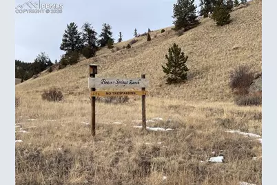 13 Buckhorn Trail, Guffey, CO 80820 - Photo 8