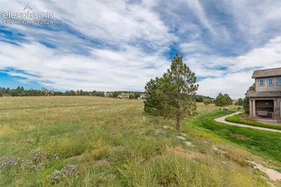 17136 Silent Forest Point, Monument, CO 80132 - Photo 30